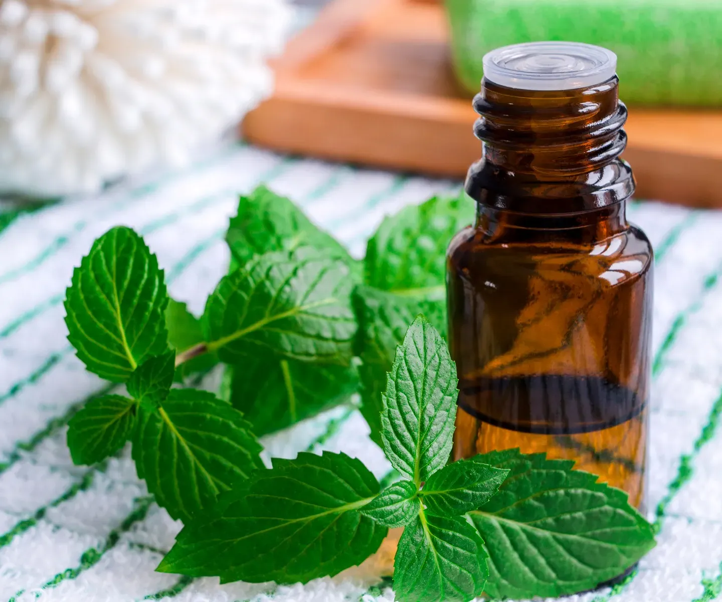 Peppermint Essential Oil